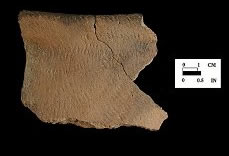 Shepard Rim sherd from the Rosenstock site 18FR18/23.